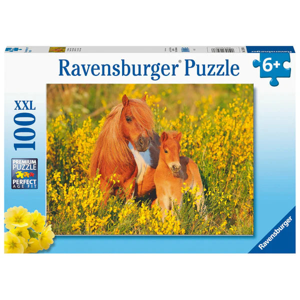 Ravensburger- Jigsaw Puzzle, 100 Pieces, Poneys Shetland