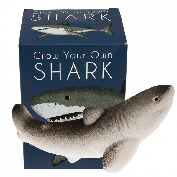 Rex London - Grow Your Own Shark
