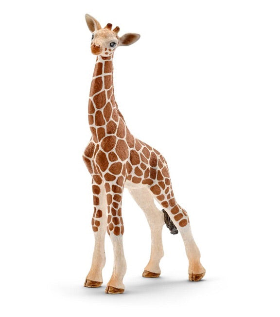 at the time of birth, baby giraffes already weigh 50 kg. At around 4 months they start to eat the small leaves from trees and still suckle from their mothers until they are 9 months old. Size height 12 cm,  length 7 cm , width 3 cm  Recommended age 3-8 years 