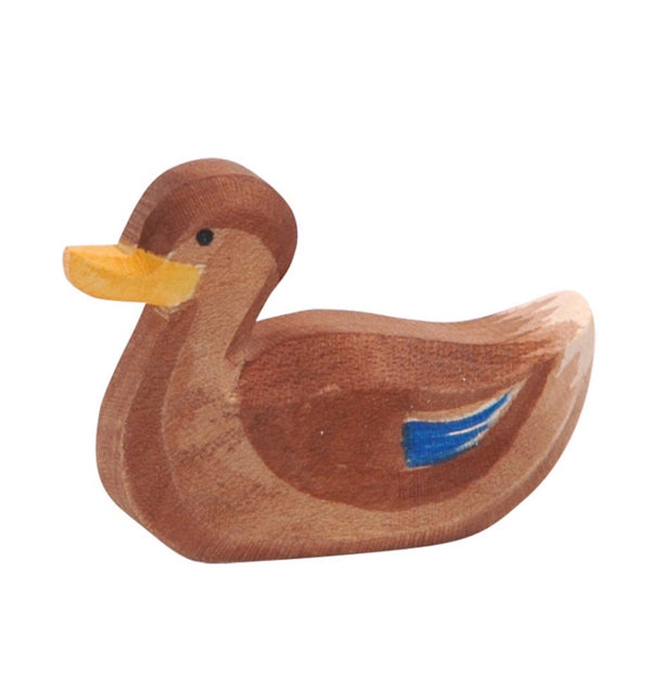 Ostheimer - Duck Swimming