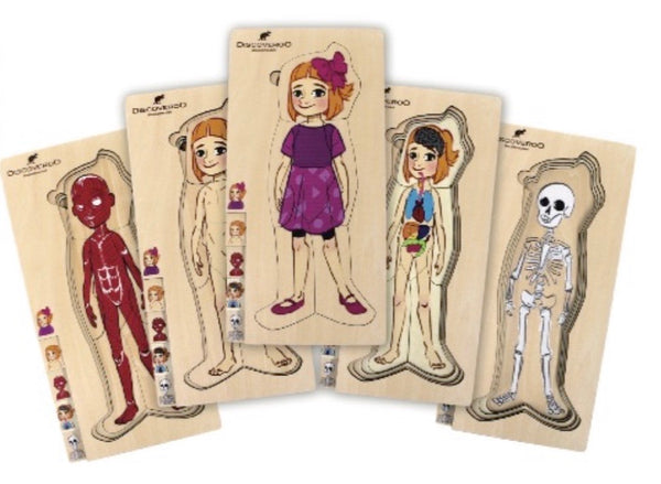 Discoveroo wooden toys human anatomy 5 layer puzzle girl