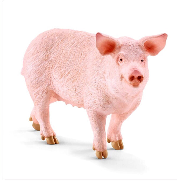 A important animal of the farm. Pigs are mostly pink and have a bristly fur. They are very peaceful, sensitive, social and curious animals.