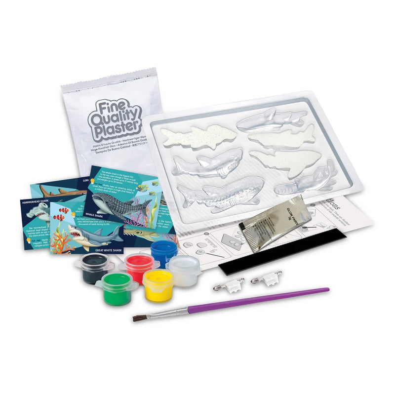 4M - Mould & Paint Sharks