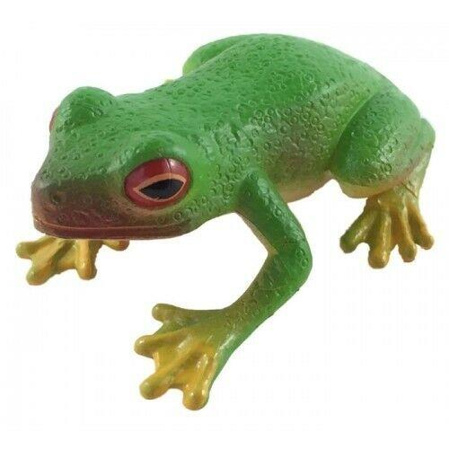 Animals of Australia - Red Eyed Green Tree Frog