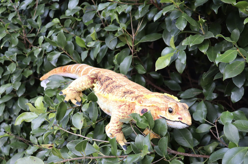 Huggable Toys Kambera Bearded Dragon Soft Toy