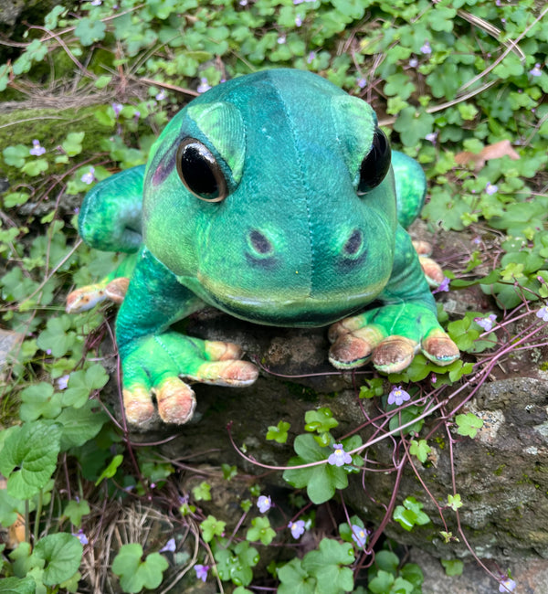 Huggable Toys - Francis Tree Frog
