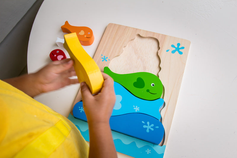 Kiddie Connect - Fish Stacker Puzzle