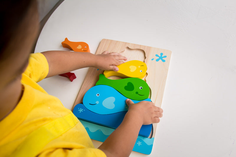 Kiddie Connect - Fish Stacker Puzzle