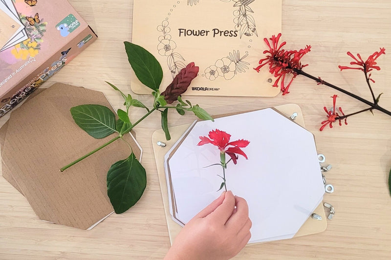 Koala Dream- Flower Press