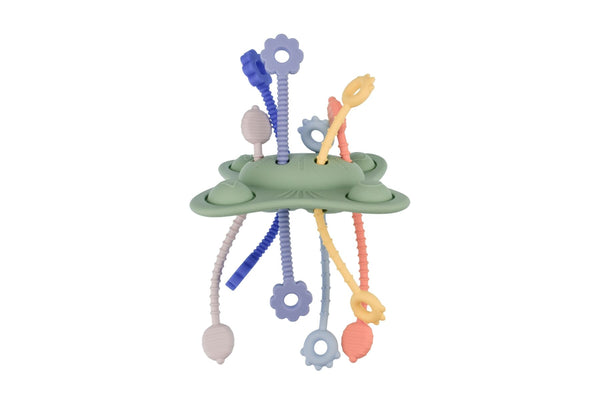 Koala Dream - Pop & Pull Sensory Teether