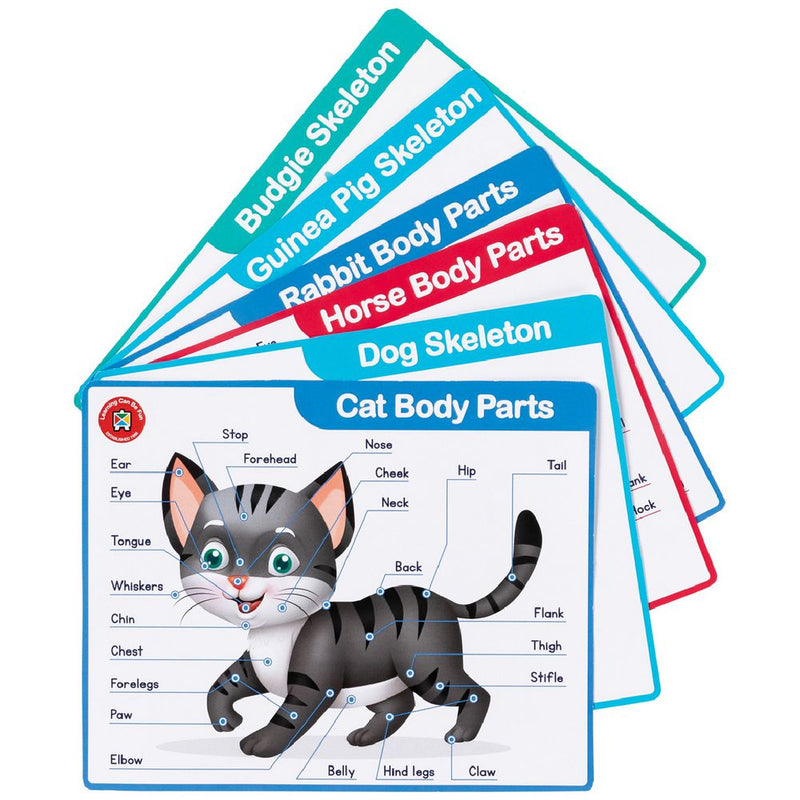 Learning Can Be Fun - My Vet Clinic