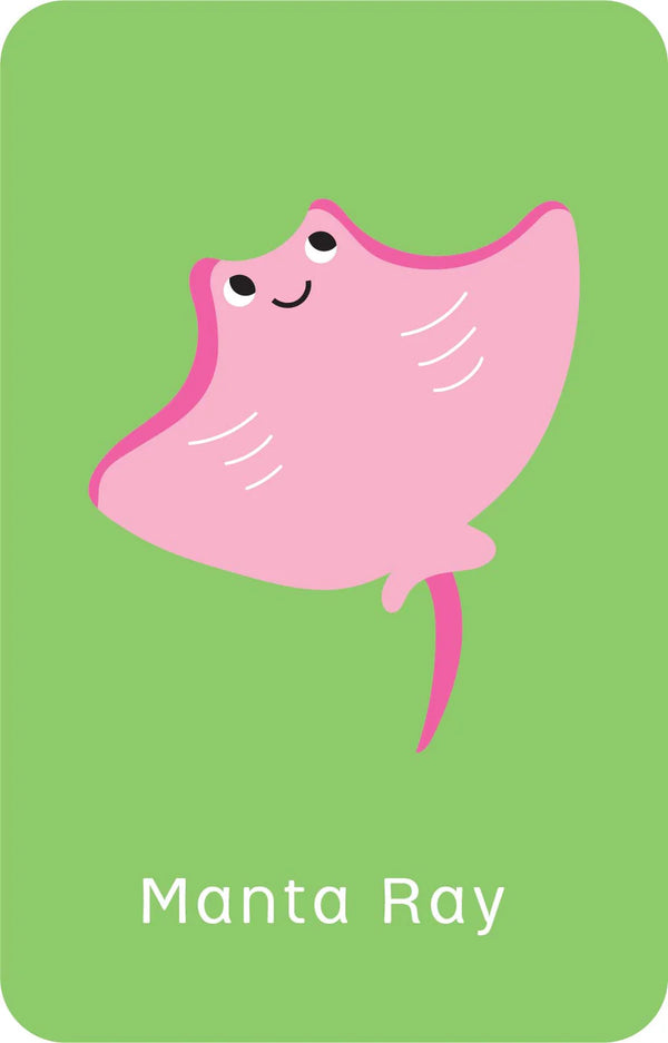 Little Genius - Go Fish Snap Cards