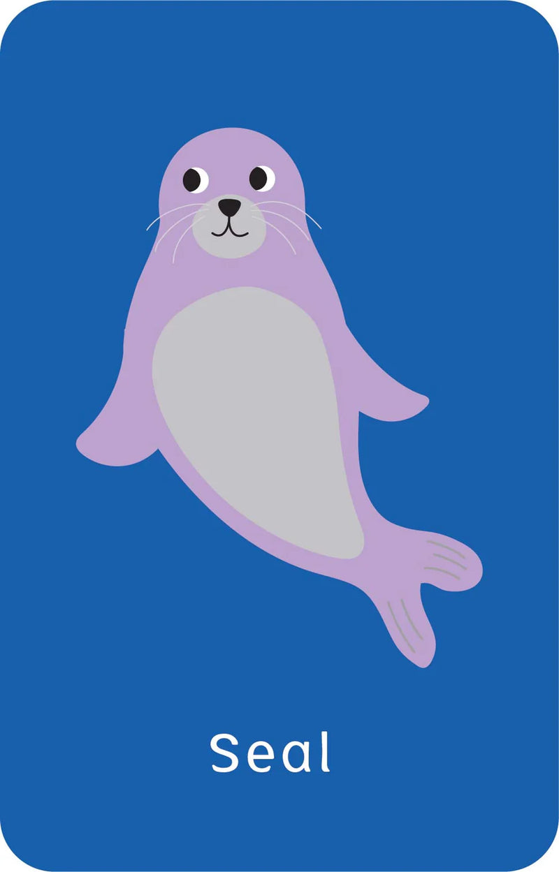 Little Genius - Go Fish Snap Cards