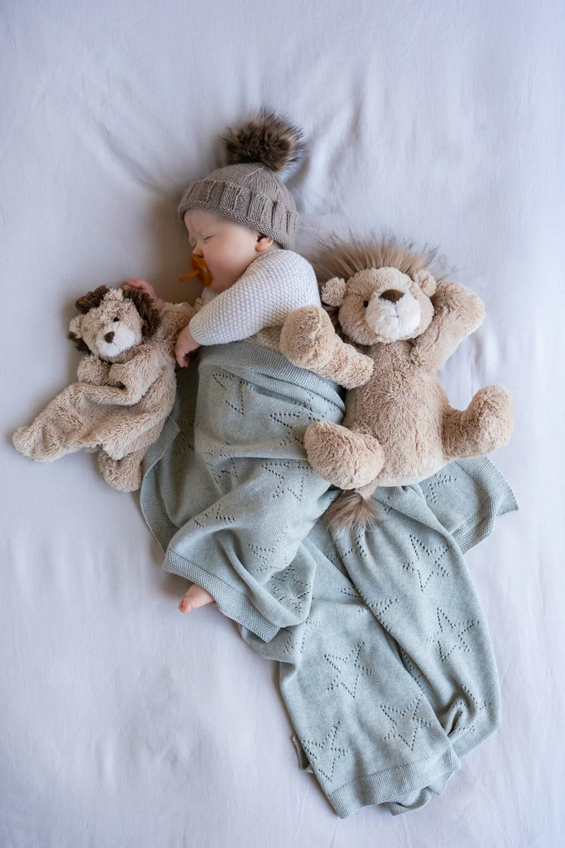 a baby snuggling with his lion comforter and soft toy