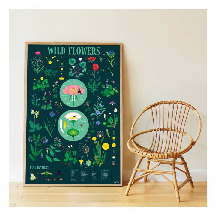 Poppik - Discovery Stickers and Poster, Botanic