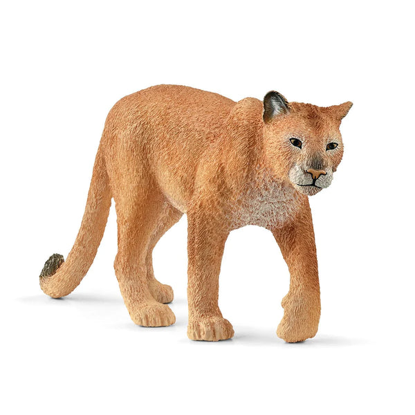 Schleich - Cougar