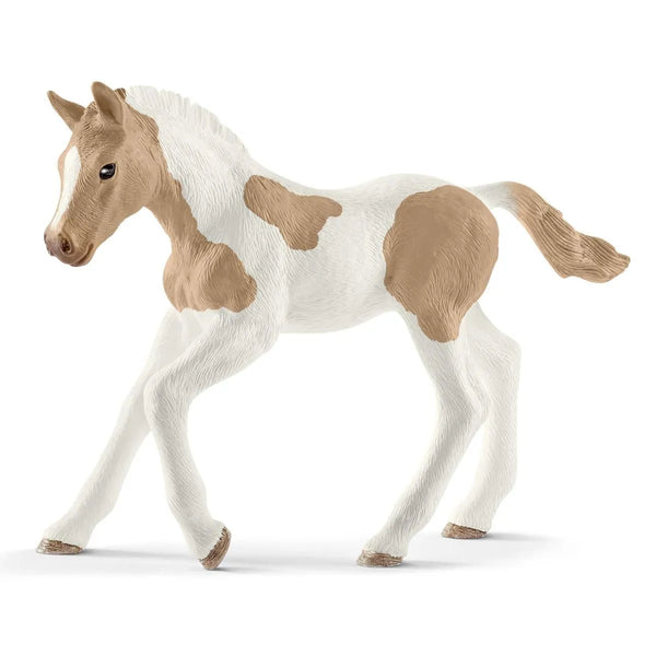 Schleich - Paint Horse Foal