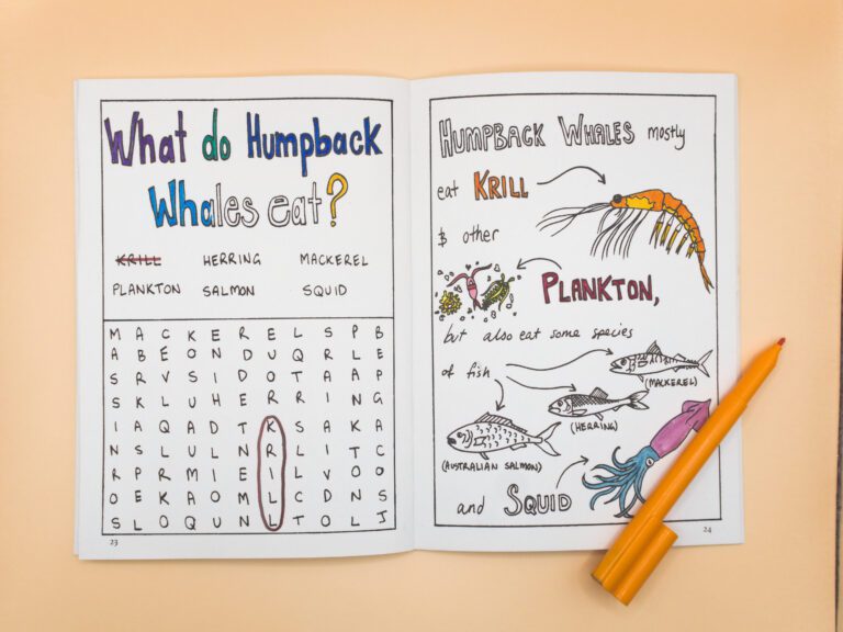 Sunshine Sea Art- Humpback Whale Activity Book