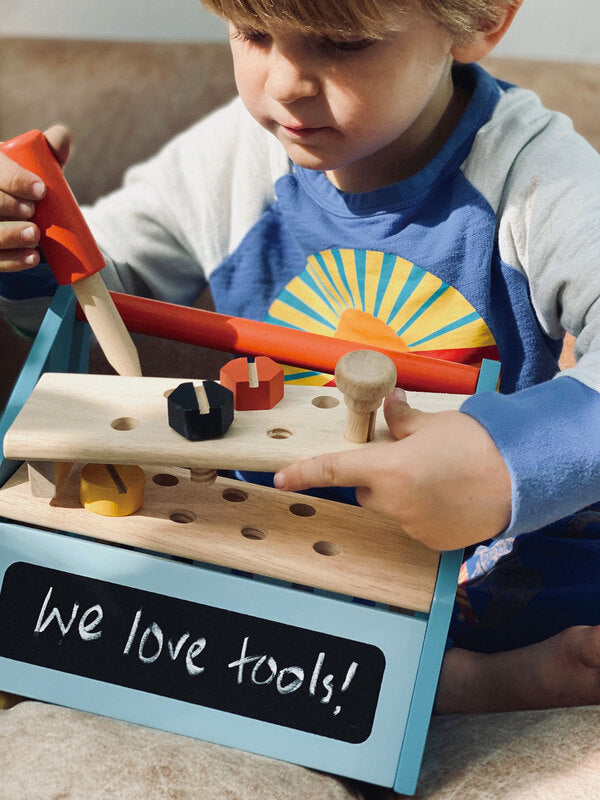 Tender Leaf Toys Tool Box