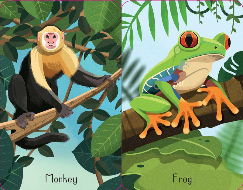 Usborne - Jungle Snap