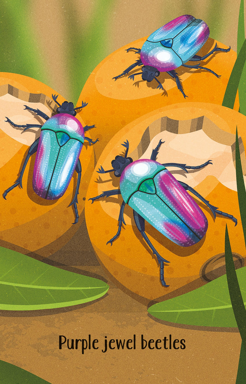 Usborne - Bugs Snap