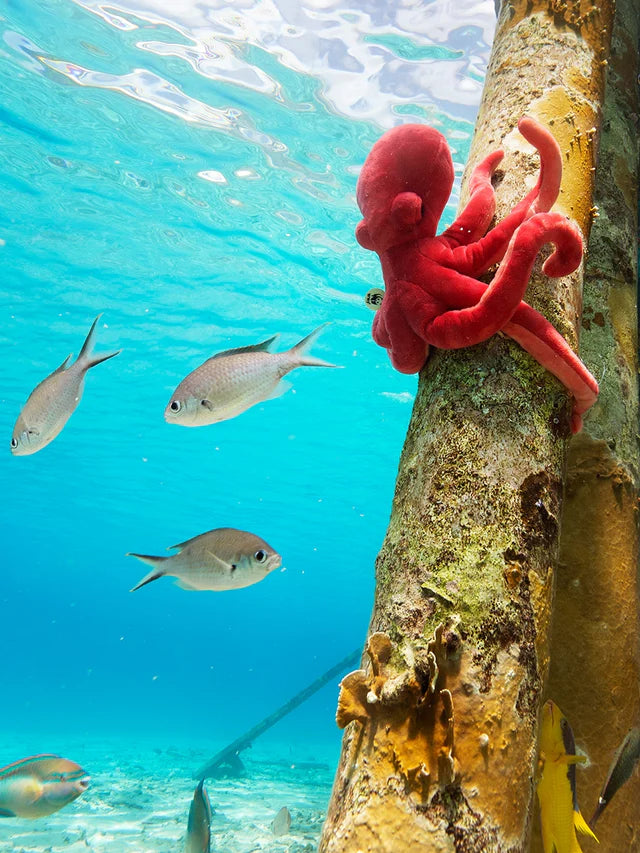Bon Ton Toys x WWF - Eco Octopus