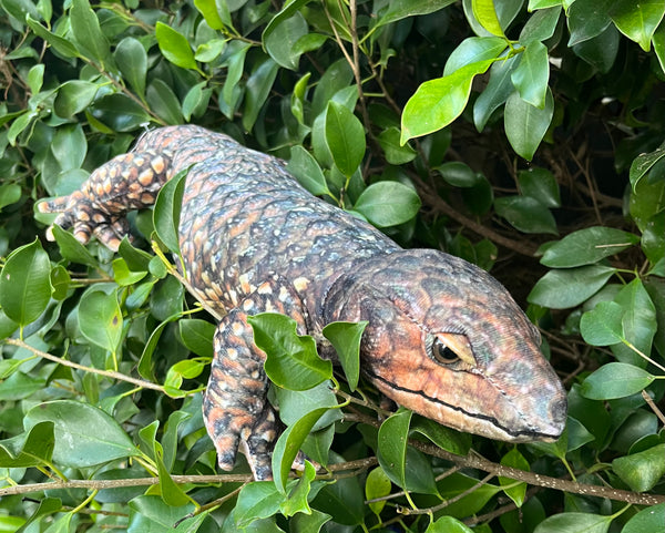 Huggable Toys Bobbie Bobtail Lizard Soft Toy