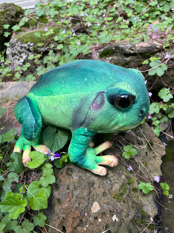 Huggable Toys - Francis Tree Frog