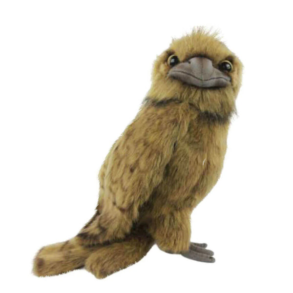 Hansa- Frogmouth Owl