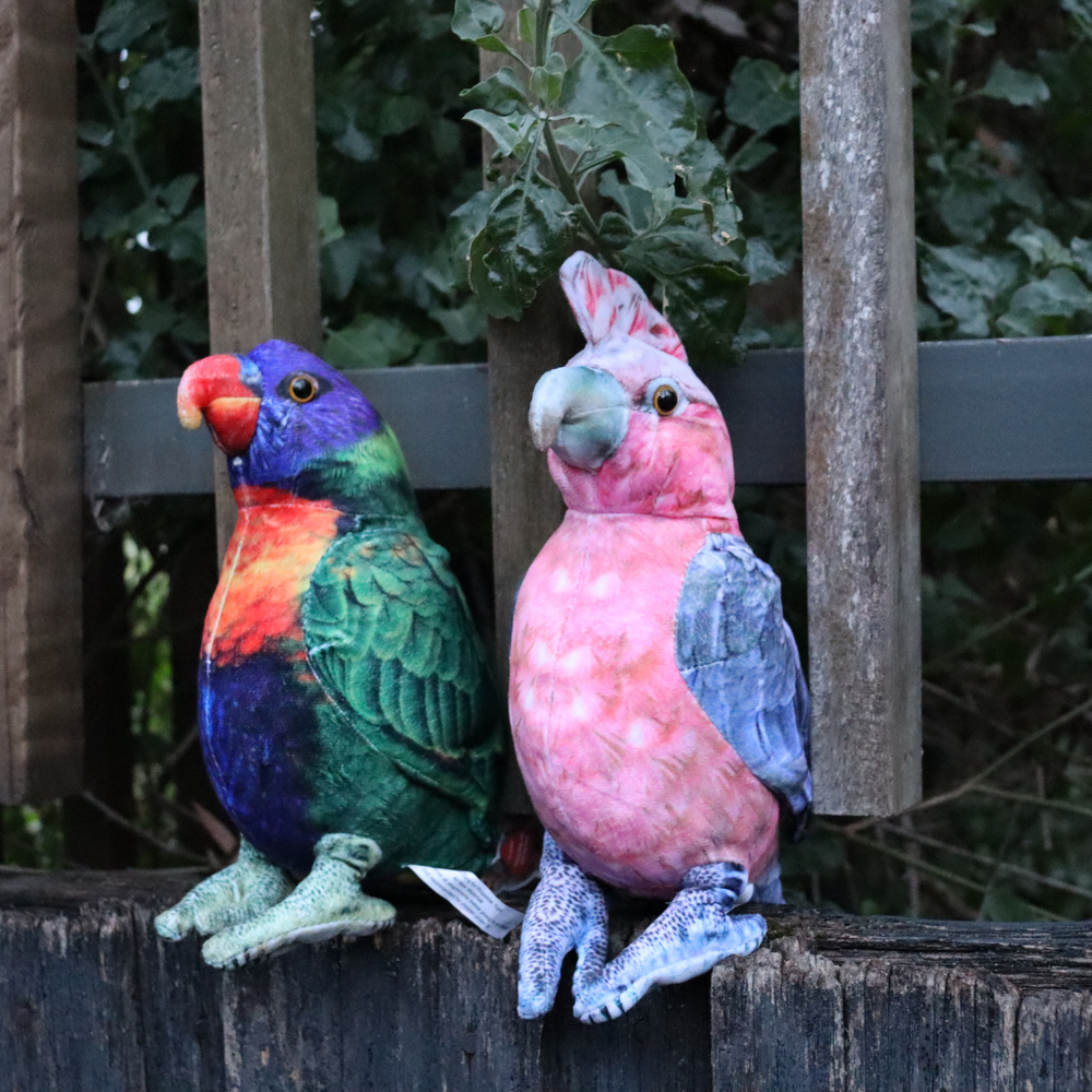 Lorikeet toys outlet