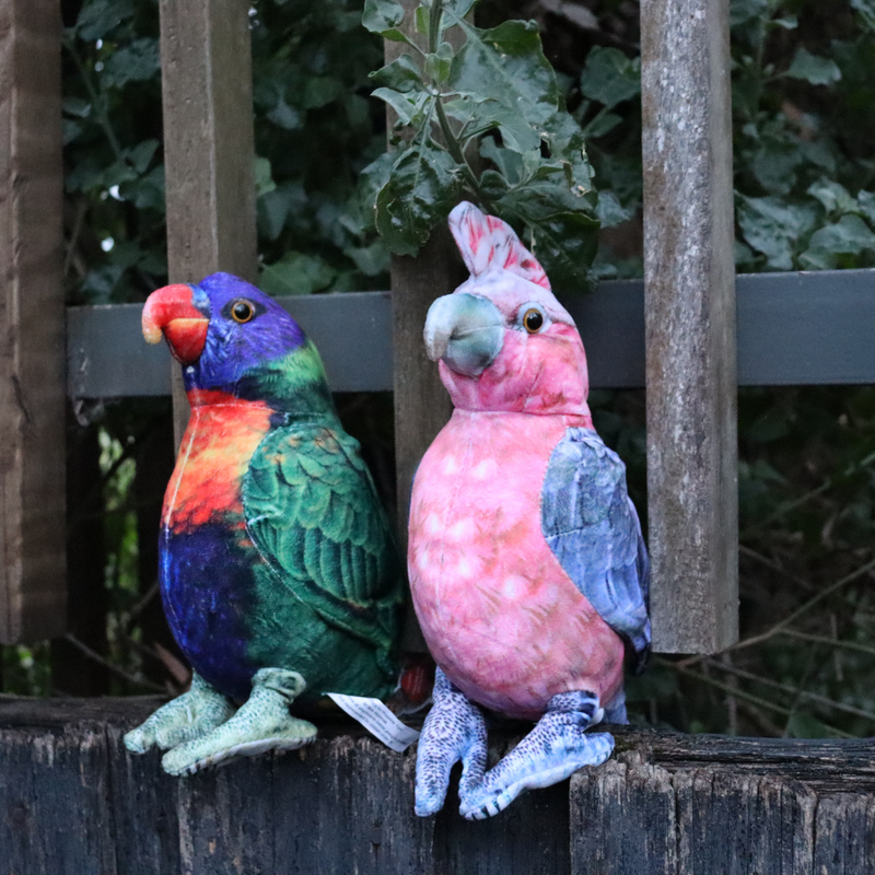 Huggable Toys Lauren Lorikeet Soft Toy