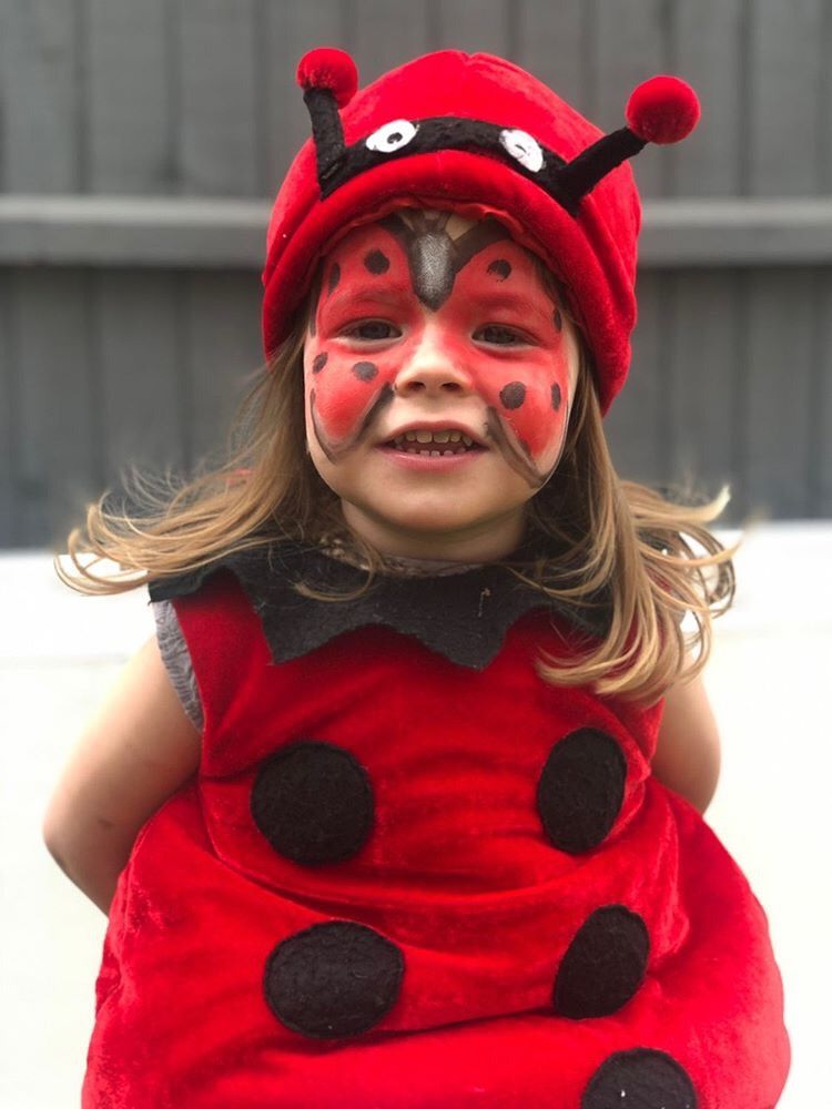 Little Brian - Face Paint Sticks 6 Pack