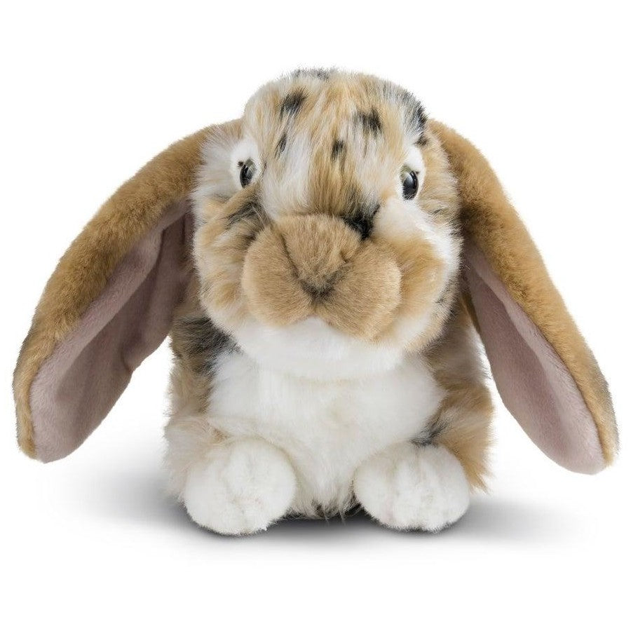 Living Nature- Brown Dutch Lop Ear Rabbit – Childplay Melbourne