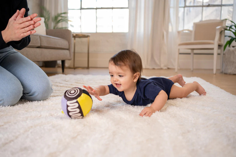 The Manhattan Toy Co - Wimmer Sensory Ball