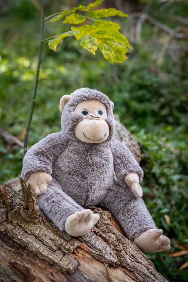 Nana Huchy- Maisie Monkey