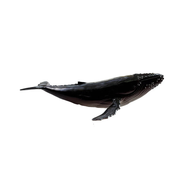 Recur - Humpback Whale Soft Replica