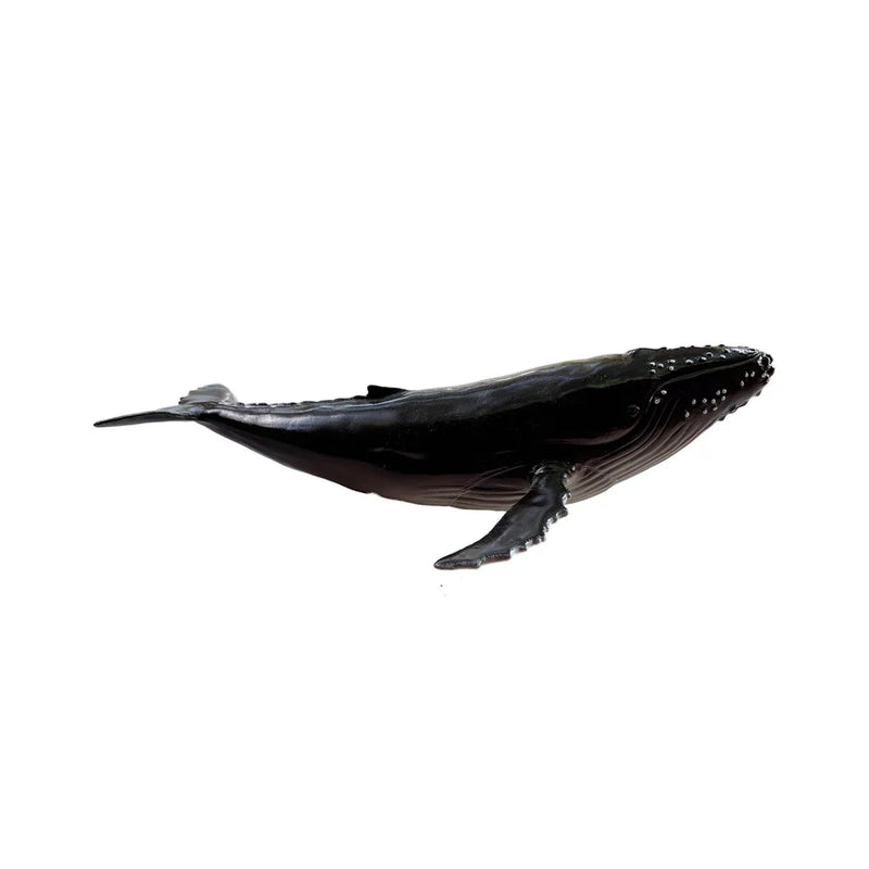 Recur - Humpback Whale Soft Replica