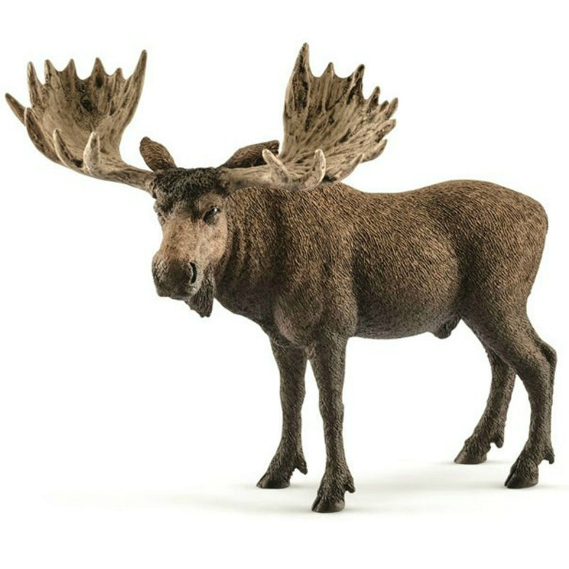 Schleich Moose Bull