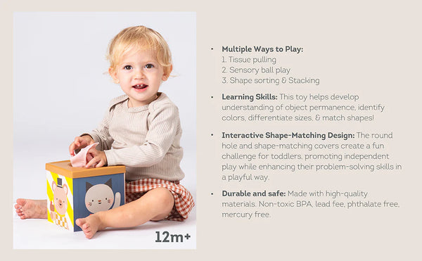 TAF Toys- Play & Discovery Cube