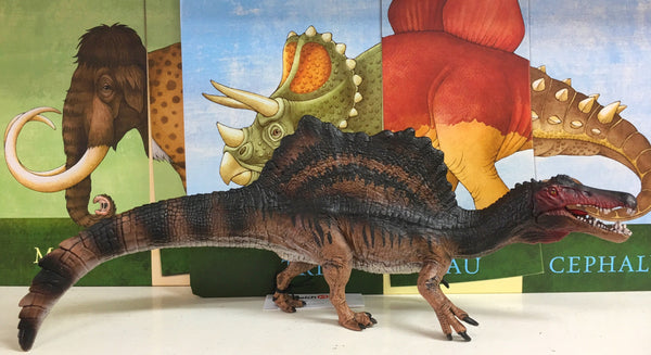 A wonderful new Dinosaur in the Schleich series Lovely brown colours and moveable mouth Encourages imaginative play Size length 30cm , height 12cm, width 6.5cm Recommended age 4-12 years 