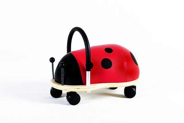 ladybug-wheelybug-small-in-multi-colour-print