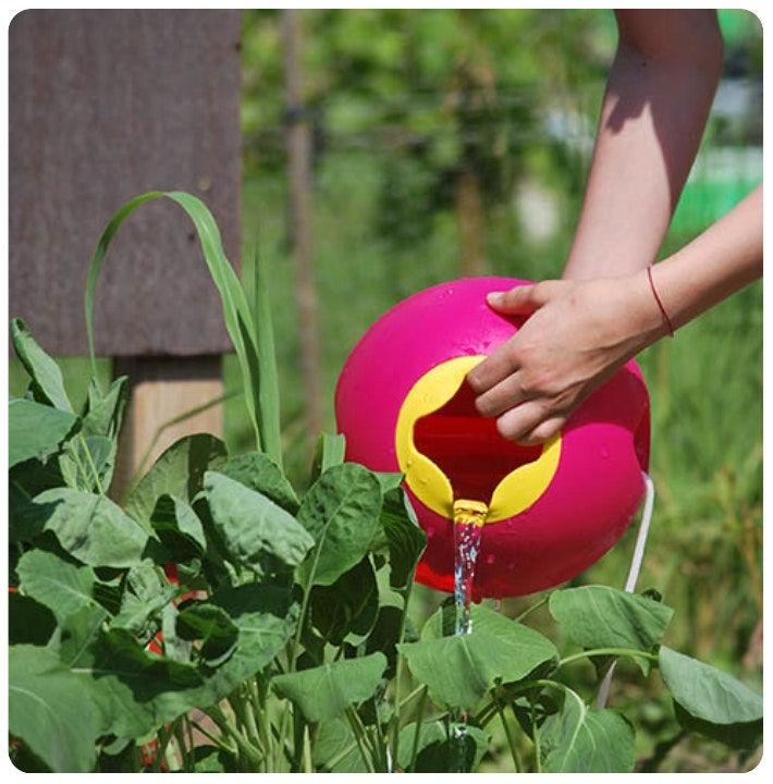 Quut - Ballo - Calypso Pink