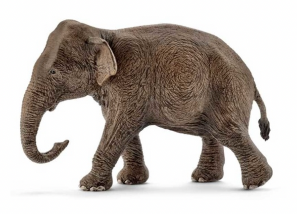 Schleich-asian-elephant-female