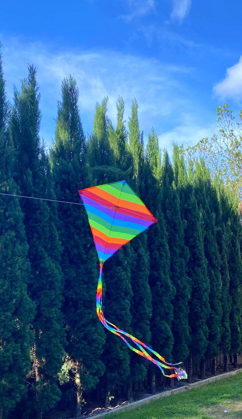 Windspeed Kites  - Rainbow Diamond