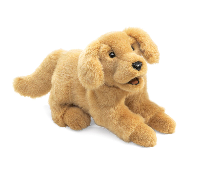 Folkmanis -  Golden Retriever Puppy Puppet
