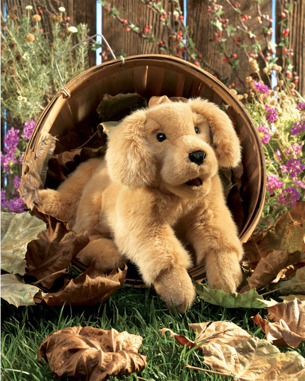 Folkmanis -  Golden Retriever Puppy Puppet