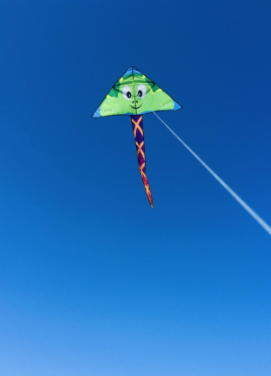 Harlequin Toys - Delta Turtle Kite