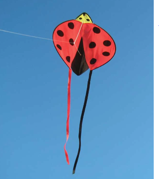 Harlequin Toys - Ladybug Kite