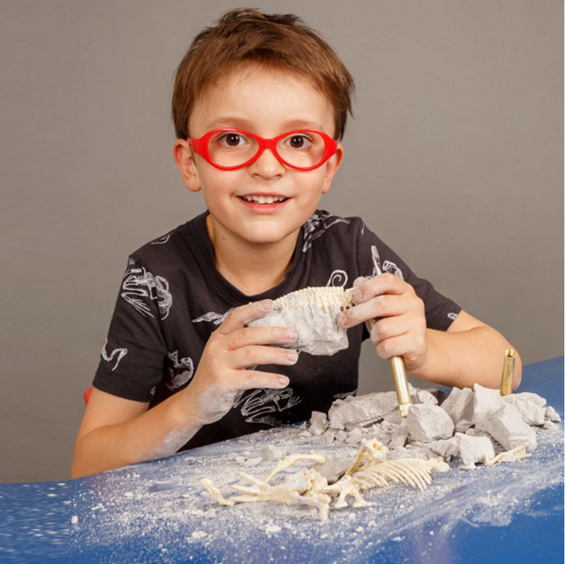 heebie jeebies excavation kit for palaeontology. includes a tyrannosaurus rex skeleton kids research toys dinosaurs for stem and steam learning