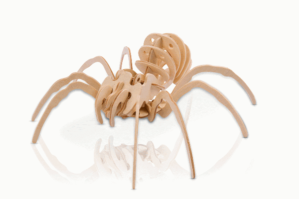 heebie jeebies red back spider science toys for children for steam and stem learning redback spider